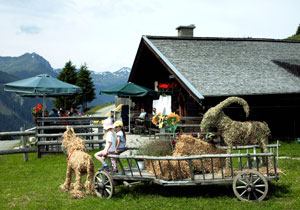 Die Pfefferalm im Sommer